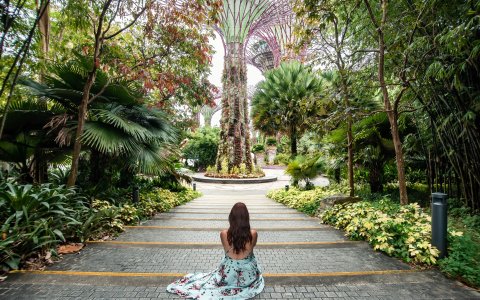 Malezja i Singapur - w świecie kontrastów (12).jpg